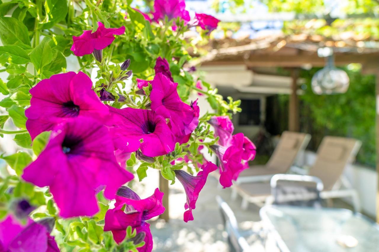 Little Villa - Walk To The Beach เทสซาโลนิกิ ภายนอก รูปภาพ